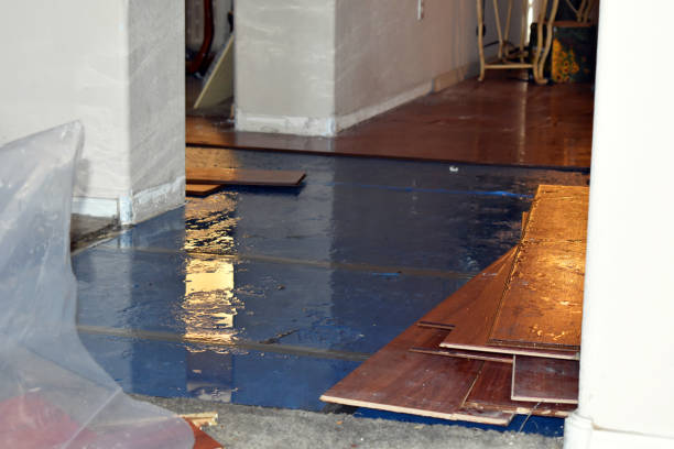 Professional Water Damage Restoration technician working in Fox Island, WA